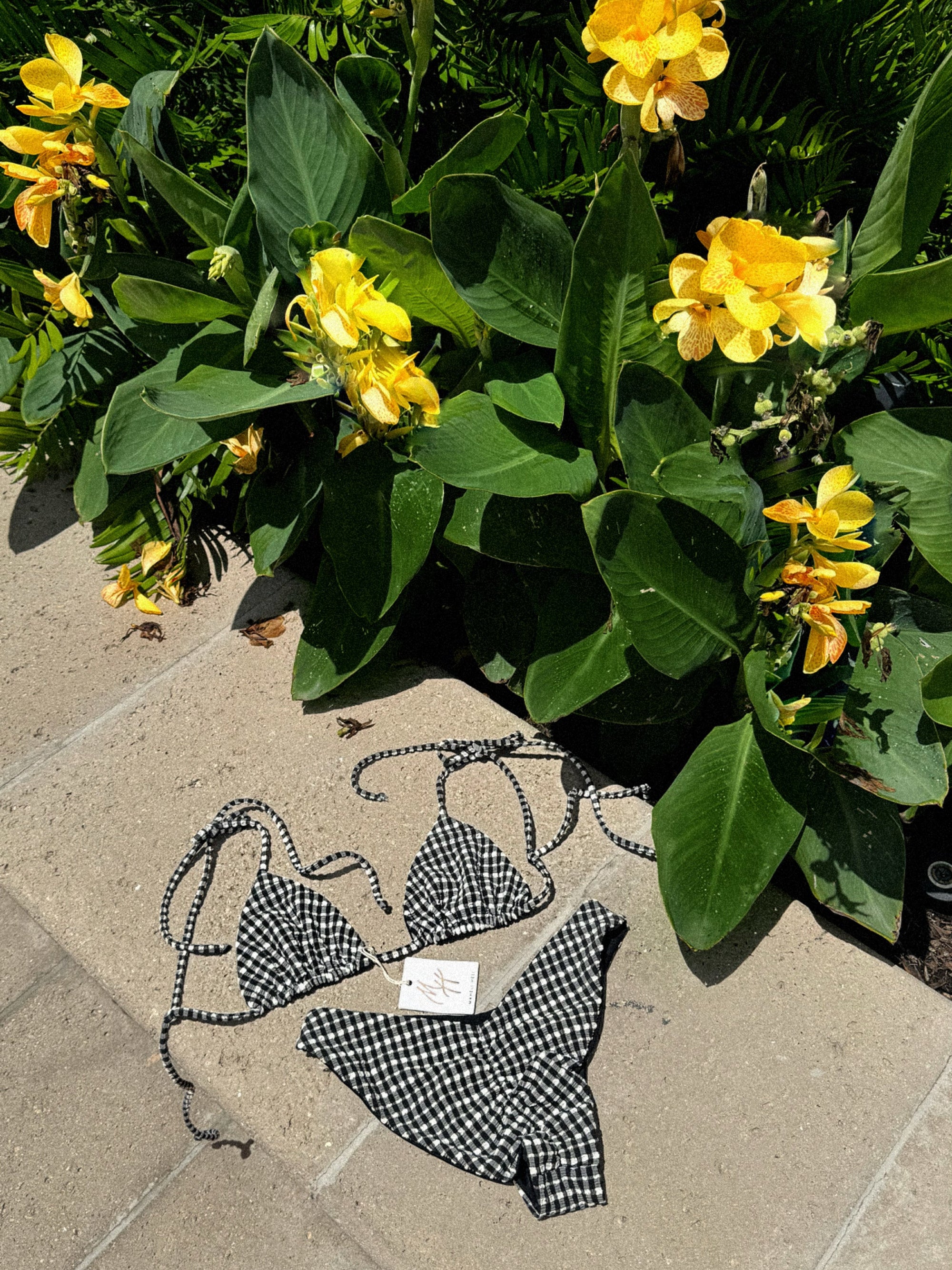 Summer Gingham